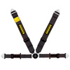 Schroth Profi II asm Flexi Belt