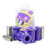 Tuleja wahacza dolnego przedniego  Powerflex Road Series TVR S Series (1986 - 1994) PFF79-202