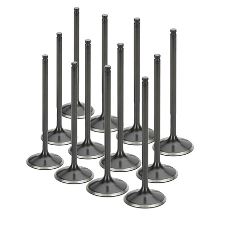 Zestaw zaworów ssących Supertech Toyota 1JZ 33.00mm (+1) Blk Nitr