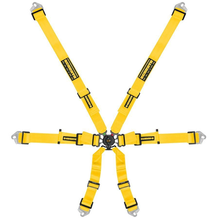 Schroth Flexi 2x2 belts