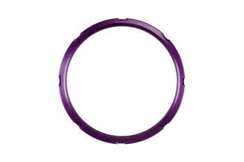 Turbosmart Wastegates vožtuvas GenV WG45/50 Actuator and ProPort Collar Purple