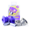 Front Wishbone Rear Bush  Powerflex Polyurethane Bush Road Series Mitsubishi Colt (2002 - 2012) PFF44-502