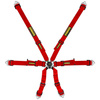 Schroth Flexi 2x2 belts