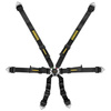Schroth Flexi 2x2 belts