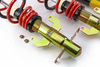 Street Ford Fiesta V Coilover Suspension