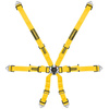 Schroth Flexi 2x2 Riemen
