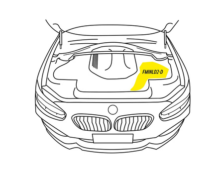 Karbonowy kanał dolotowy Forge do BMW F chassis (1 Series, 2 Series, 3 Series, 4 Series, 5 Series)