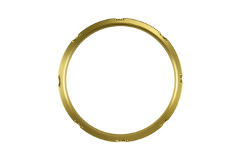 Internal wastegate actuator GenV WG45/50 Actuator and ProPort Collar Gold