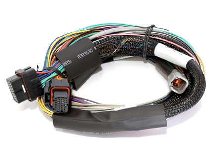 Haltech Elite 2500 - podstawowa uniwersalna zestaw przewodów 2,5 m (8') - HT-151302