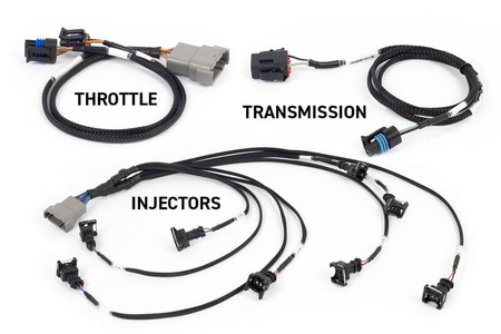 Haltech Komputer sterowania silnikiem ECU Nexus Rebel LS Gen III do LS od GM