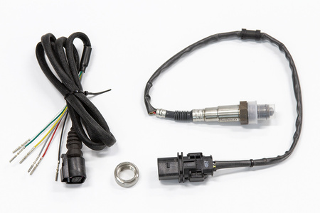 Haltech Elite PRO Direct Plug-in Ford i6 "Barra" szélessávú K - HT-154006