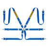 Sabelt Steel Saloon Rally 6-Point Belts 2"