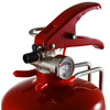 RRS Handfeuerlöscher aus Stahl, 2 kg 