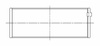 ACL Pleuellagerschale Ford Modular 0.025mm