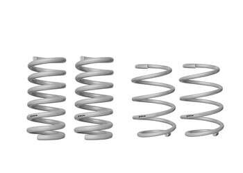 Ford Mustang S550 GT Coil Springs - lowered WSK-FRD006