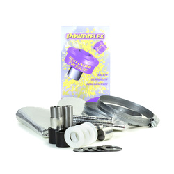 Obere Querlenkerbuchse vorne Powerflex Polyurethanbuchse Road Series TVR Griffith - Chimaera (1991 - 2002) PF79-102H