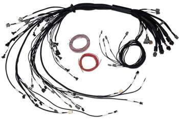 Haltech Wiązka wtryskiwaczy do Nexus R5 LSx bez DBW