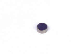 Haltech Rare Earth Magnets (5mm DIA x 2mm H) - HT-010602