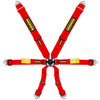 Schroth Enduro 3x2 belts