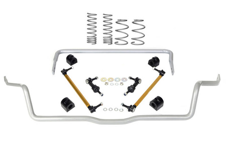 Vorderer und hinterer Griffseriensatz GS1-FRD003 Ford Focus MK3