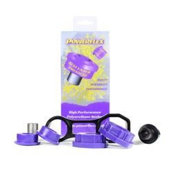 Powerflex poliuretano įvorė Fiat 500 Models - 500 US Models inc Abarth PFF16-532P Diagrama Nr: 20