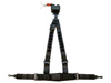 Schroth ASM autocontrol II belts