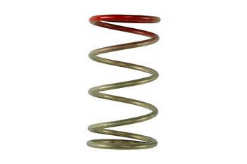 Turbosmart Wastegates Ventil GenV IWG 14 PSI Spring