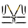 Sabelt Steel Saloon Rally 6-Point Belts 2"